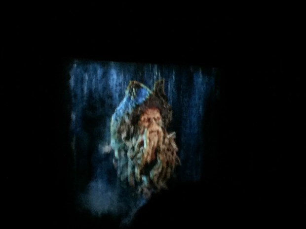 It would be opened in other disney parks, magic kingdom, tokyo disneyland, and disneyland paris. Route To Adventure Celebrating 50 Years Of Pirates In Disneyland