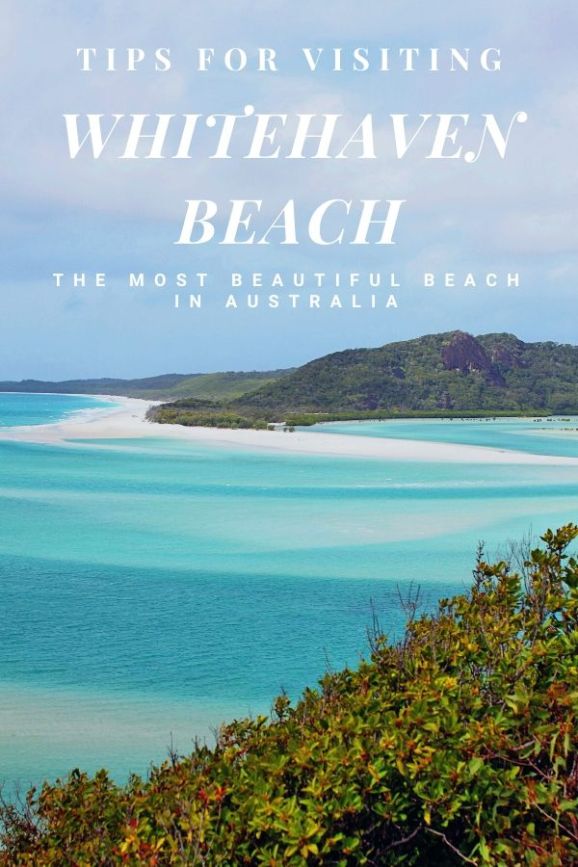 But before you buy, there are some things to consider to ensure your investment doesn’t turn out to be a dud. Tips For Visiting Whitehaven Beach Australia Simply Wander
