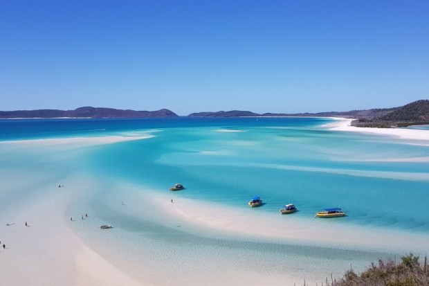 No licence is required for a yacht charter in the whitsundays, . The Best Boat Hire In Airlie Beach Travel With No Anchor